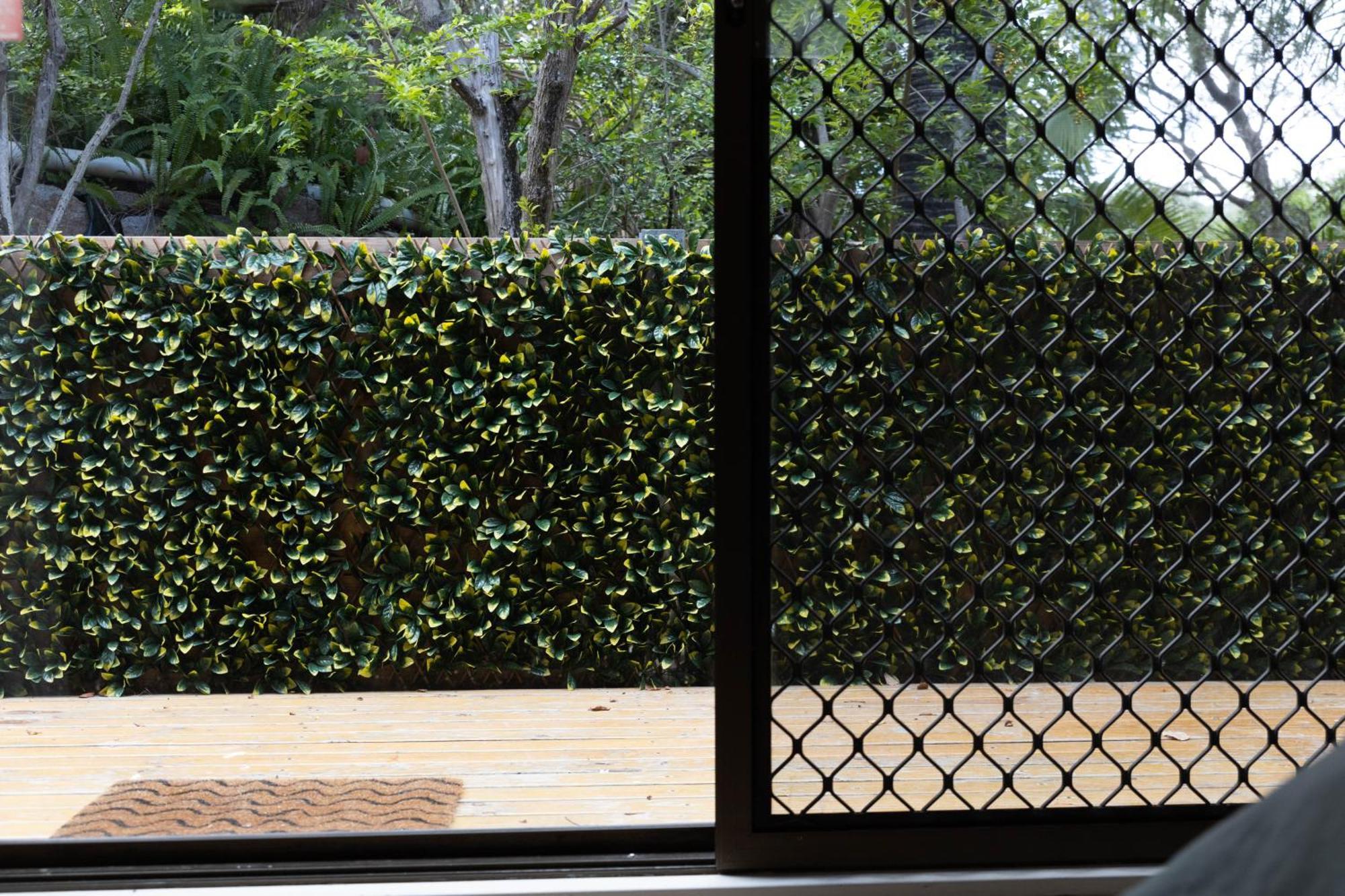 Peaceful Close To Shops, Motorway, National Forest & Koalas! Apartment